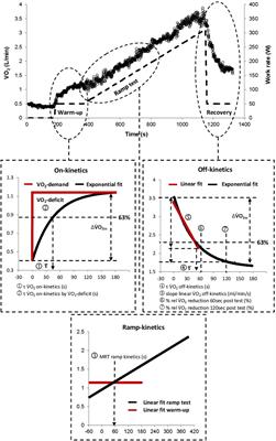 Frontiers | Comparison of V̇O2-Kinetic Parameters for the